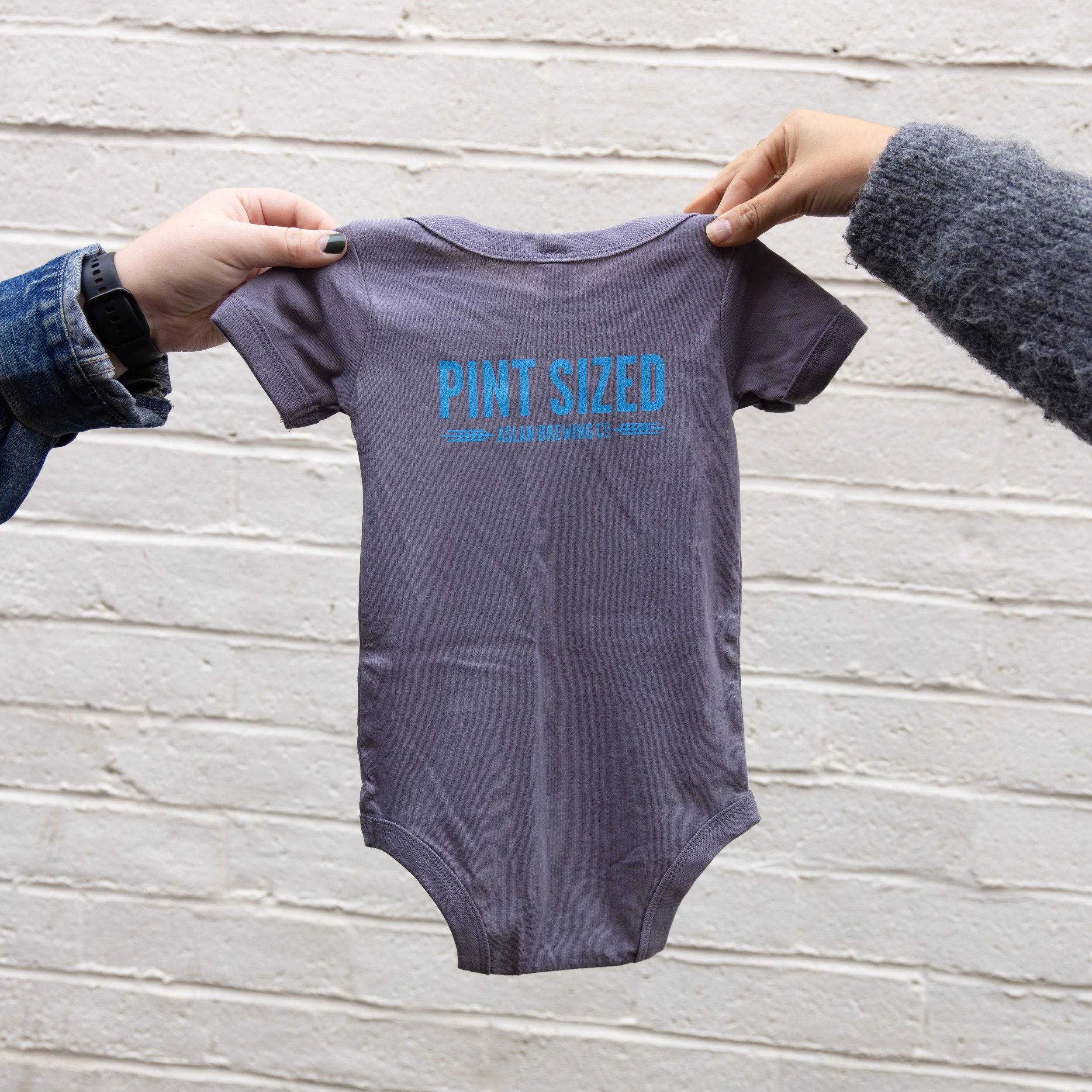 Pint Sized Onesie