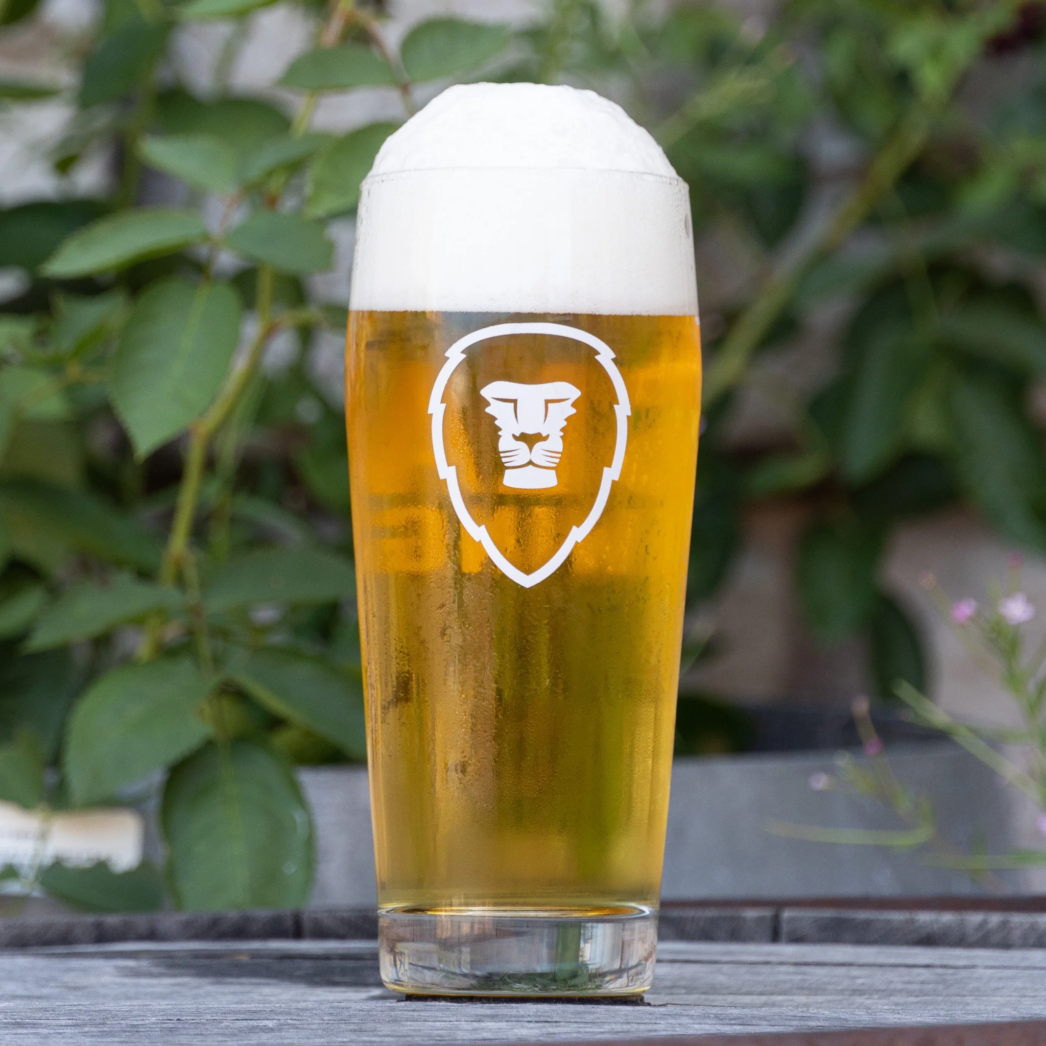Large Glass
