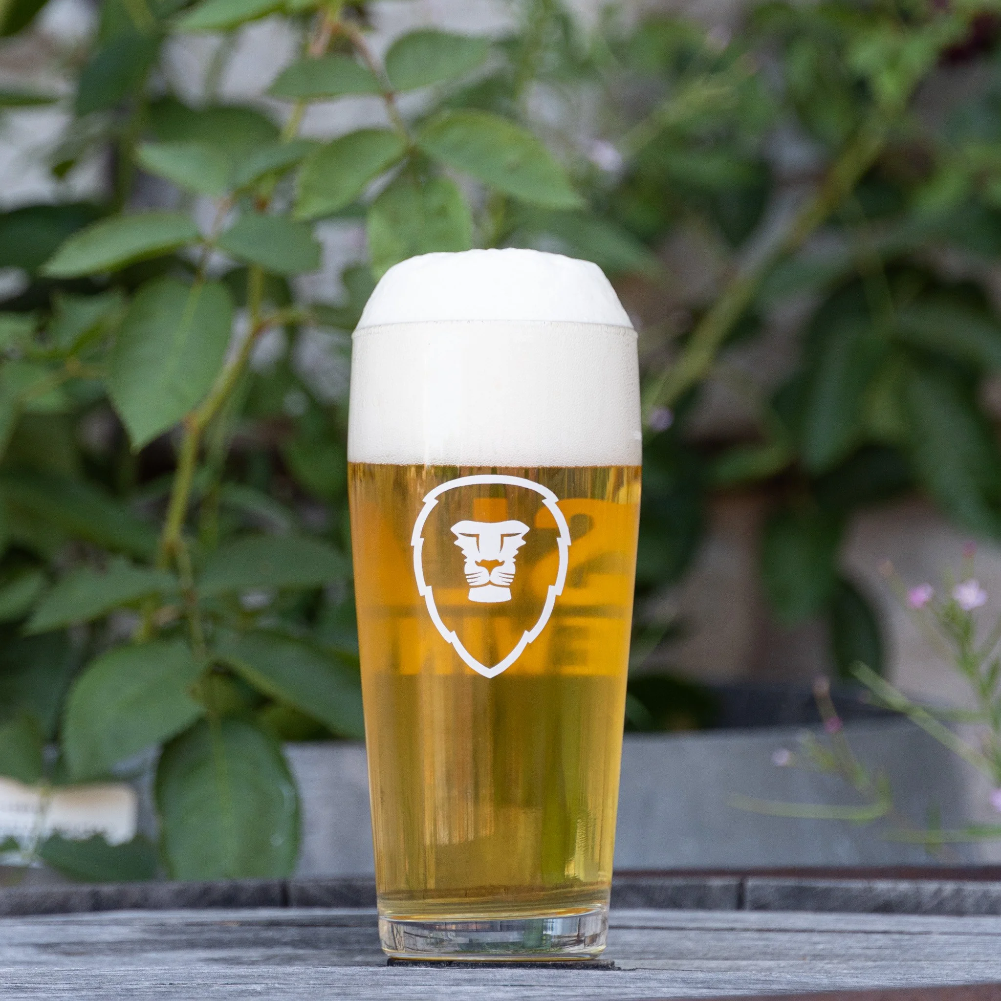 Small Glass