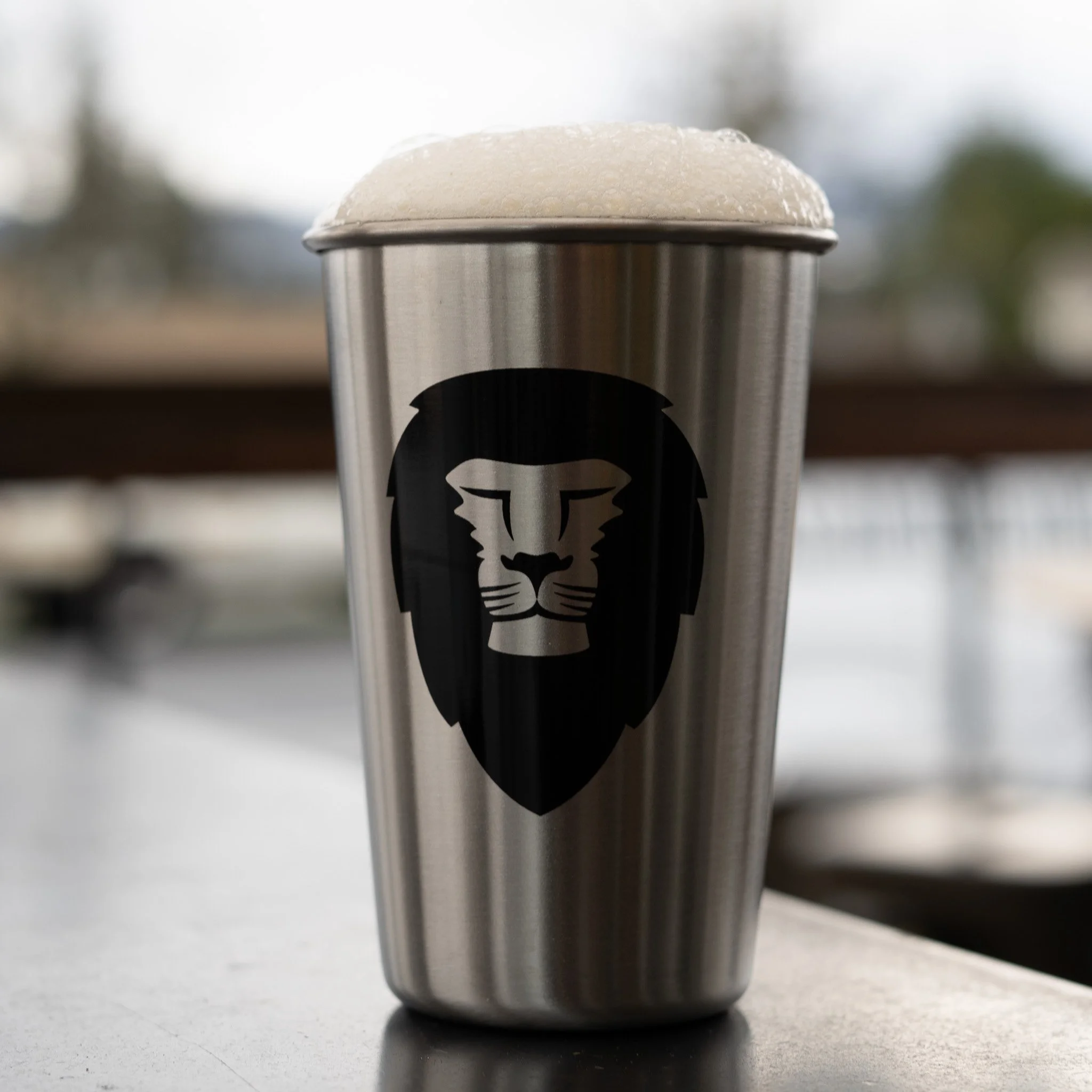 Stainless Pint