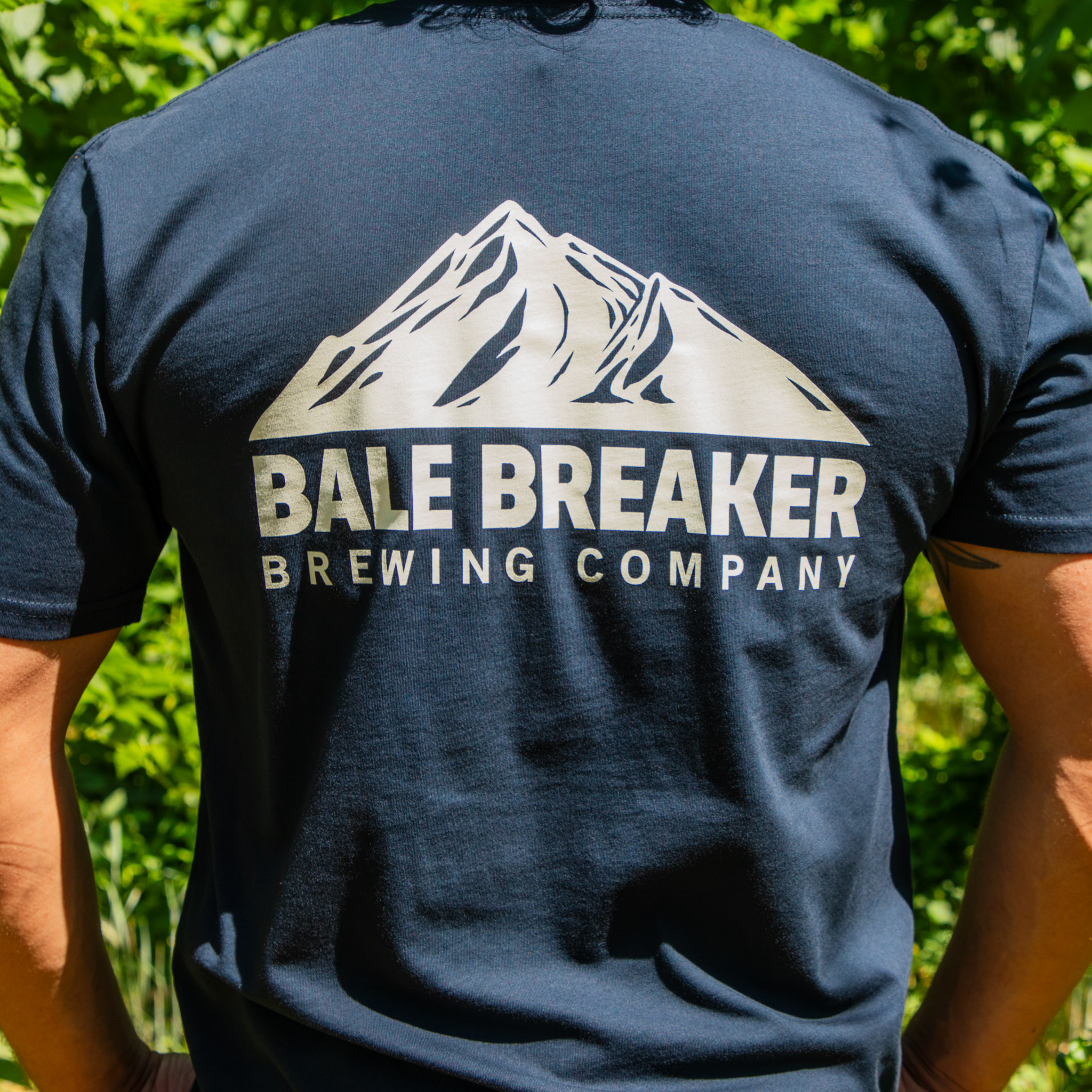 Navy Mountain Tee