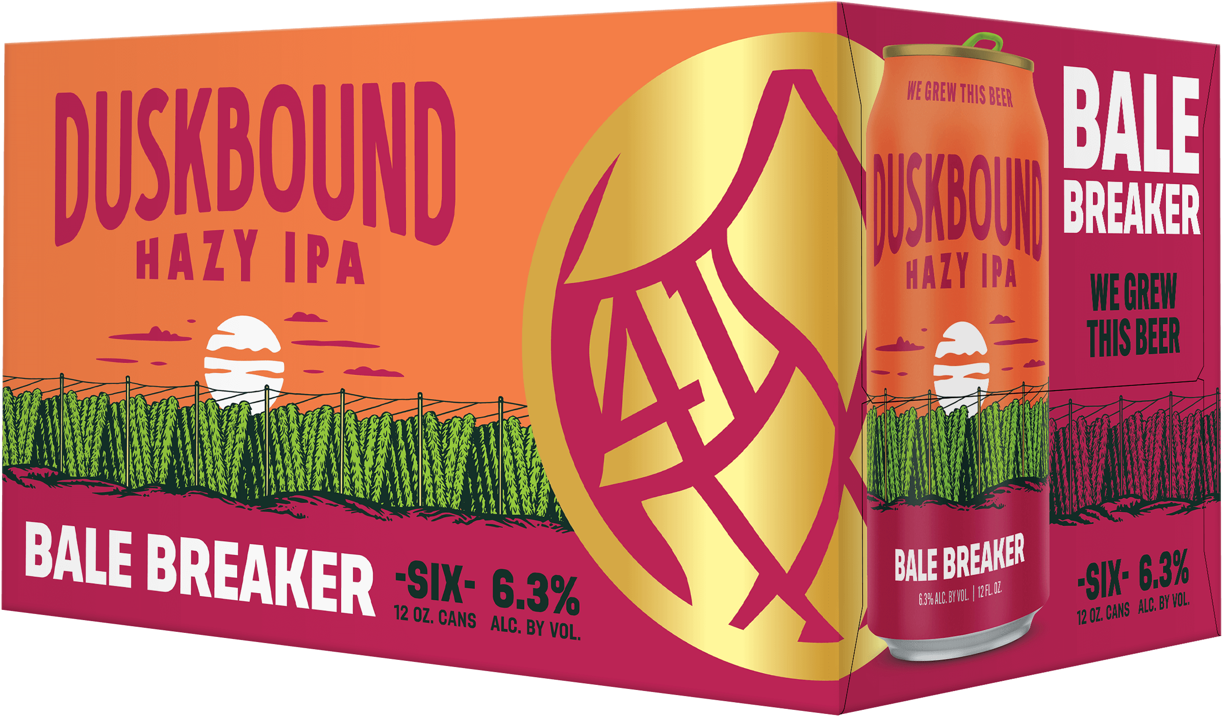 Duskbound Hazy IPA Case