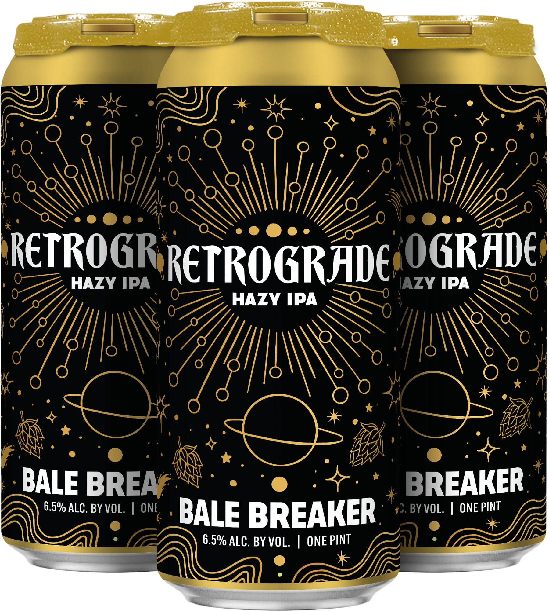 Retrograde Hazy IPA Case