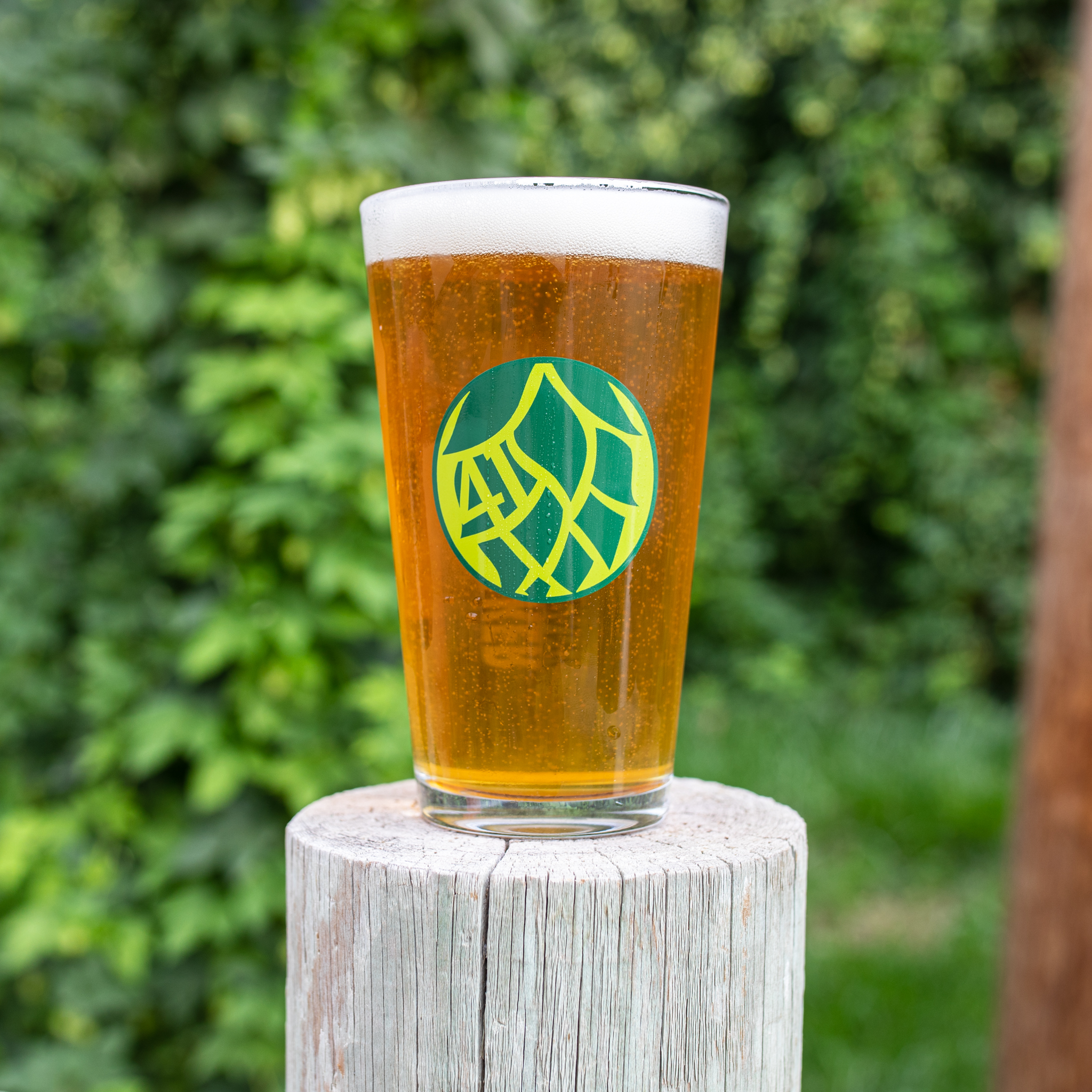 Hop Logo Pint Glass