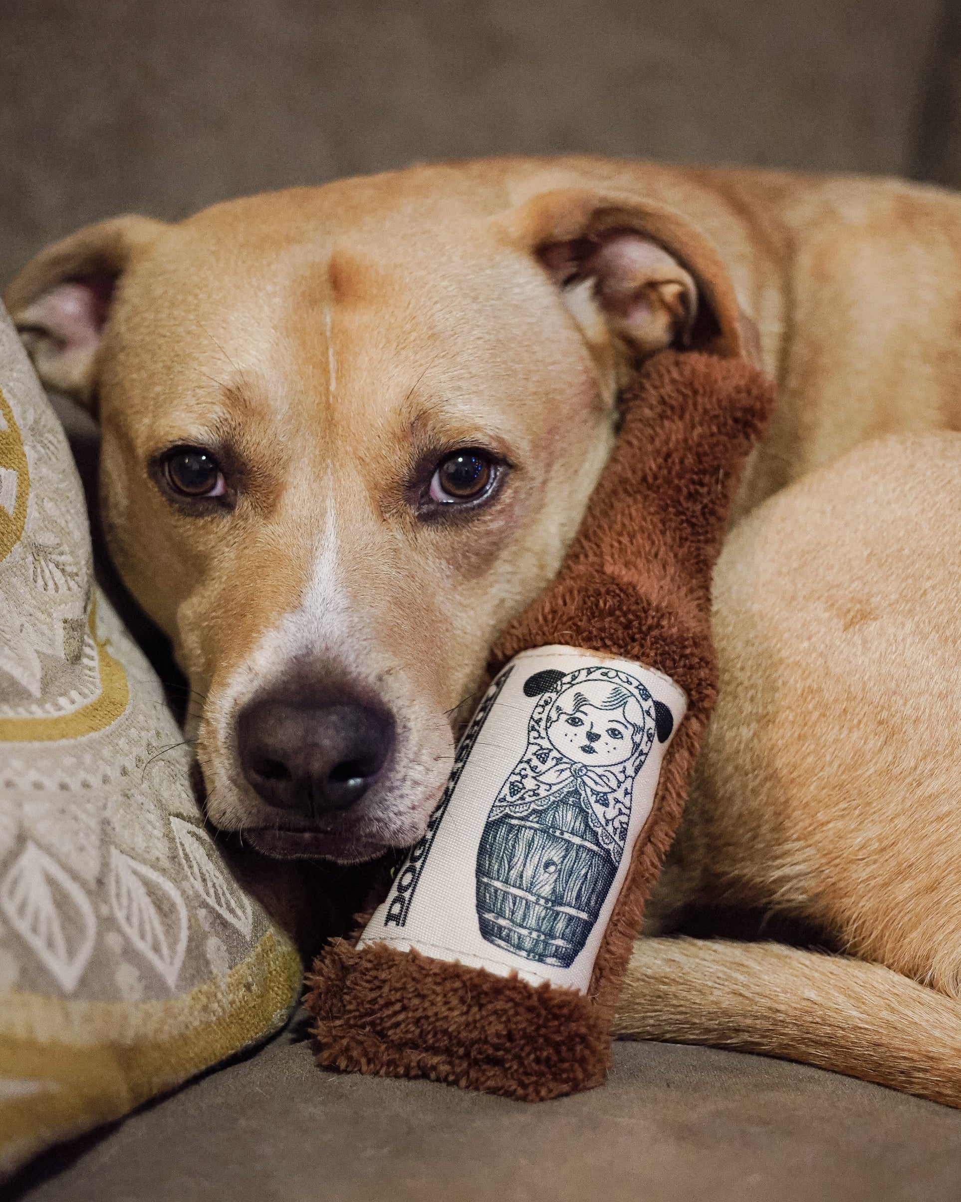 CYCLE DOG - DOG TOYS