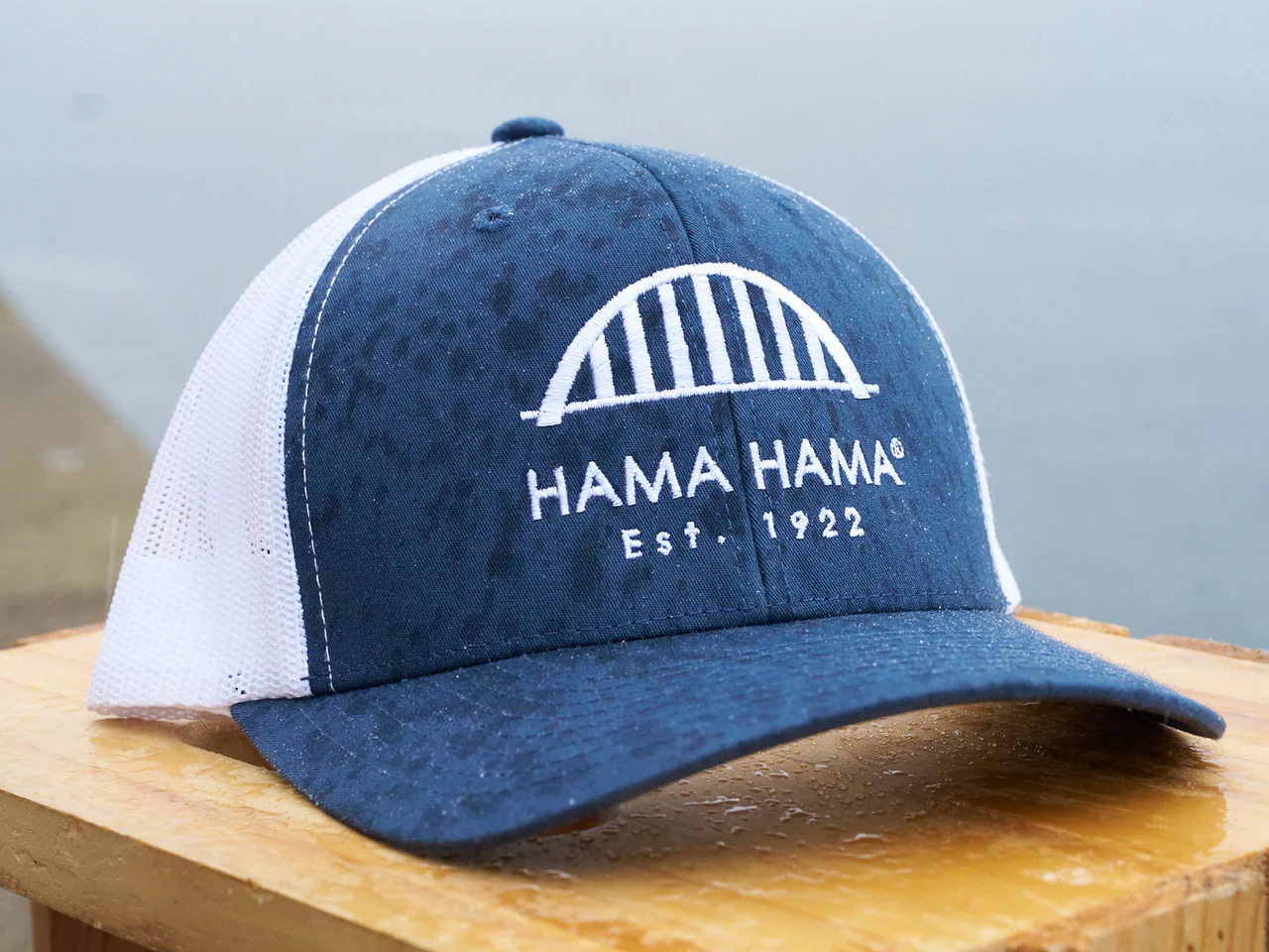 Mesh Back Trucker Hat