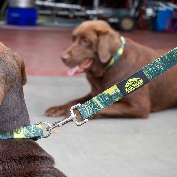 Dog Leash