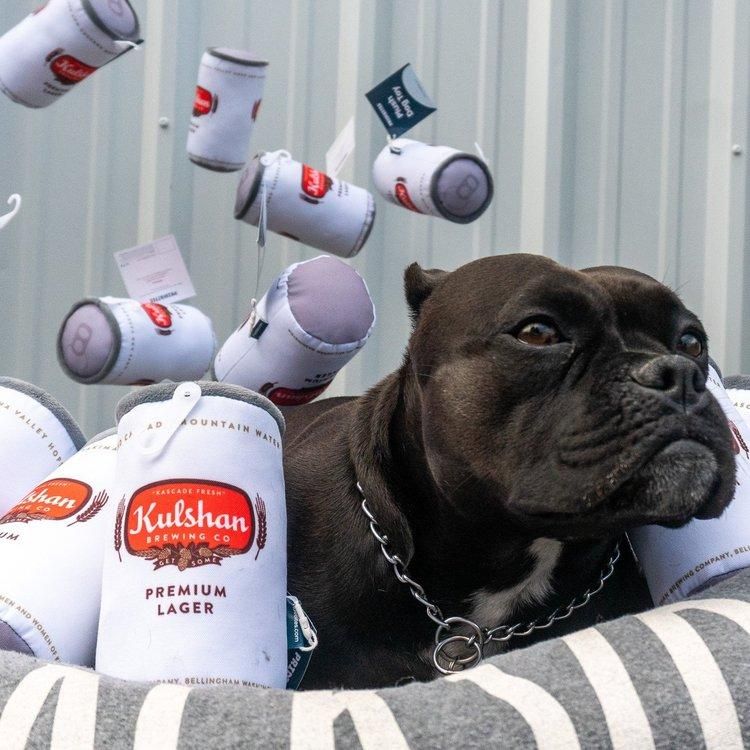 Dog Toy