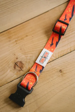 Sonic Bark Collar