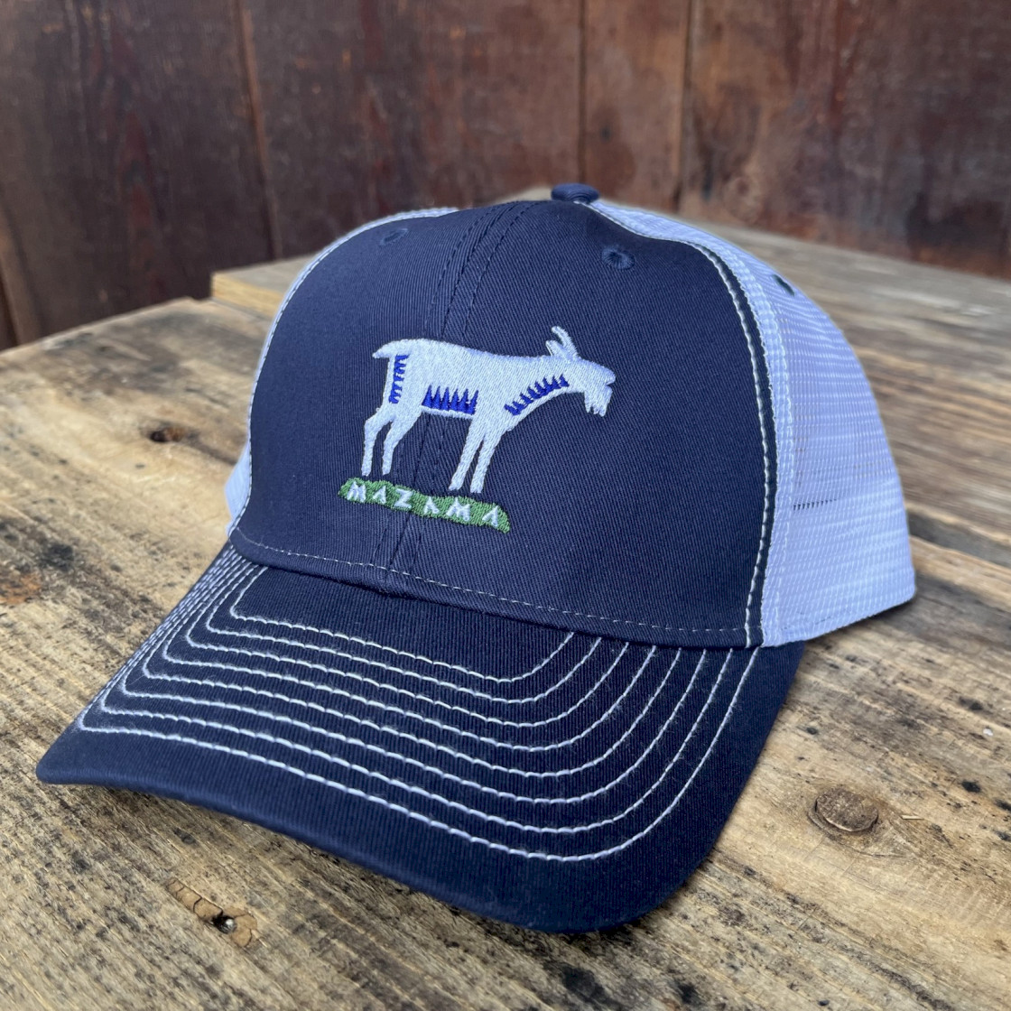 Mesh Trucker Hat