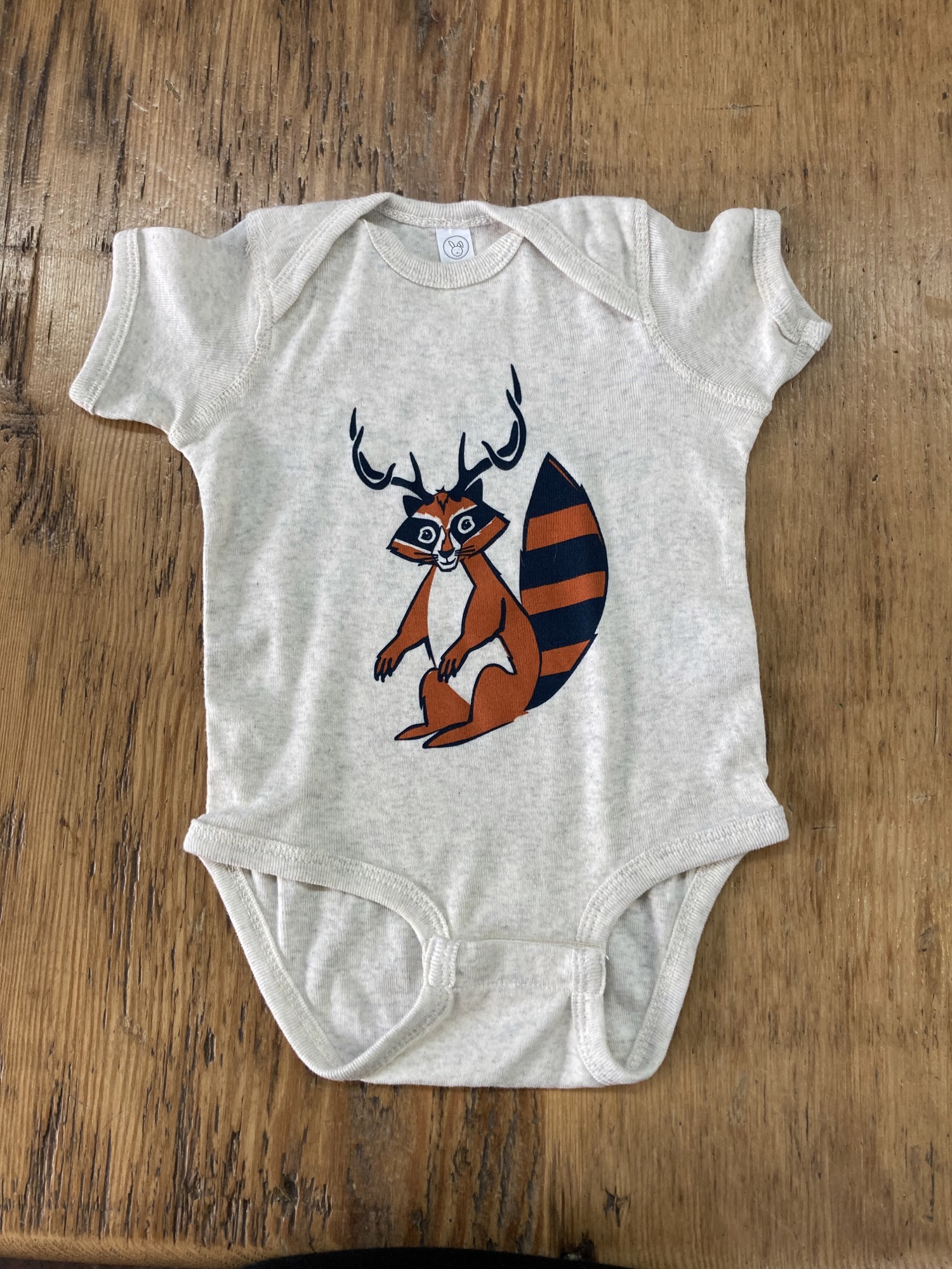 Baby Onesie