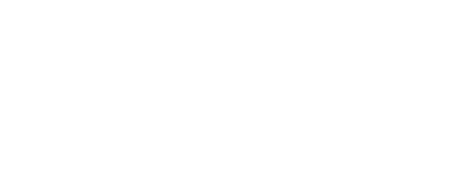 Silver City Brewery logo